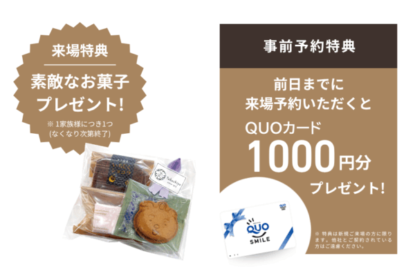 お客様の家 完成見学会